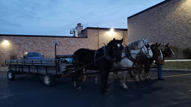 Horse-drawn wagon at the Cadott winter event