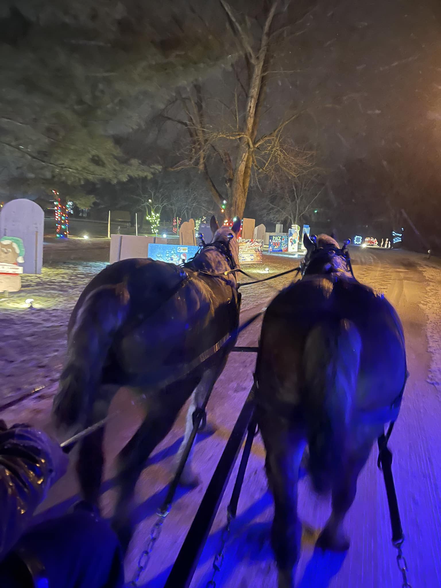 Horse-drawn wagon ride through Cadott's Christmas Village at night